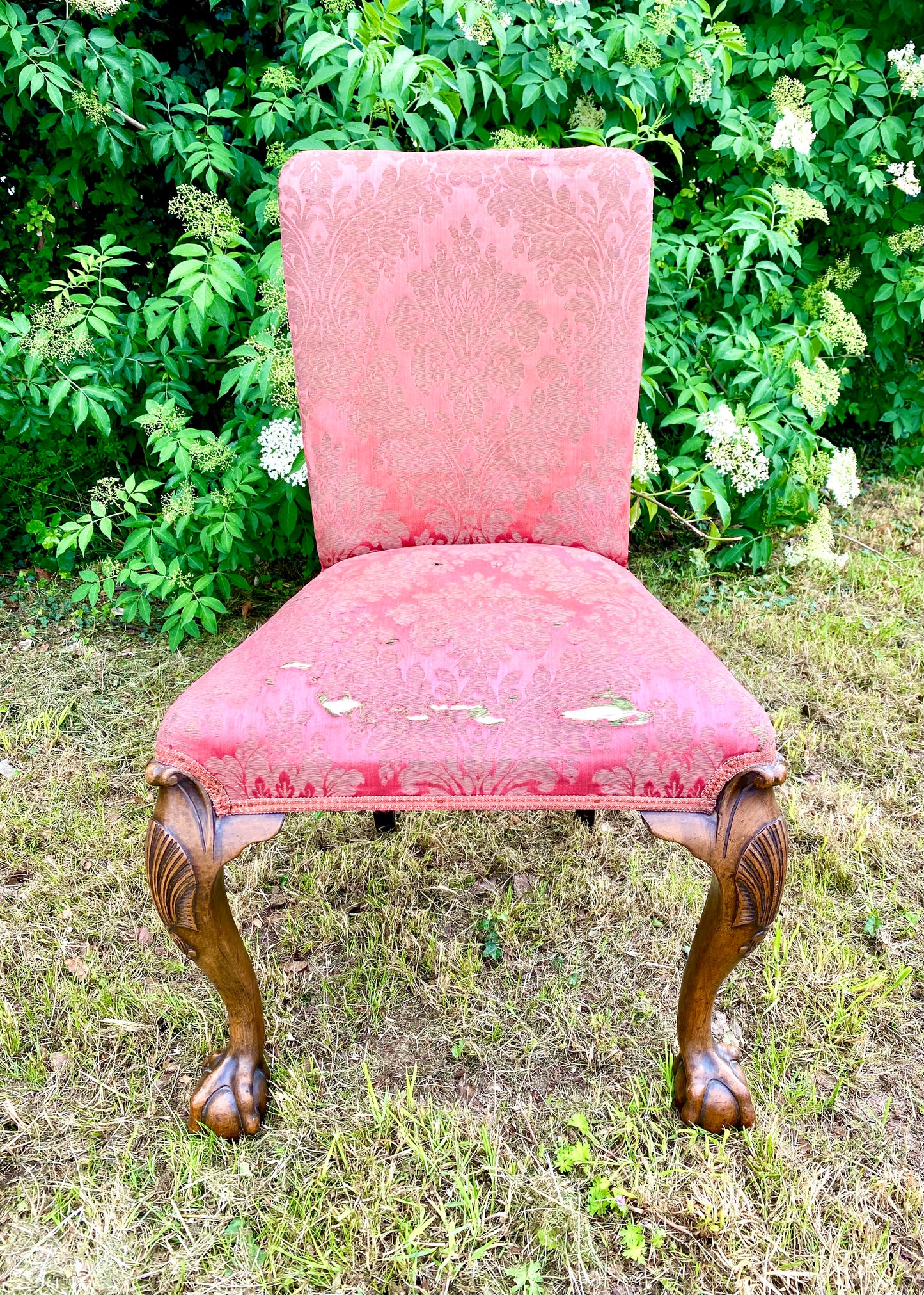 Walnut Side Chair (c1860)