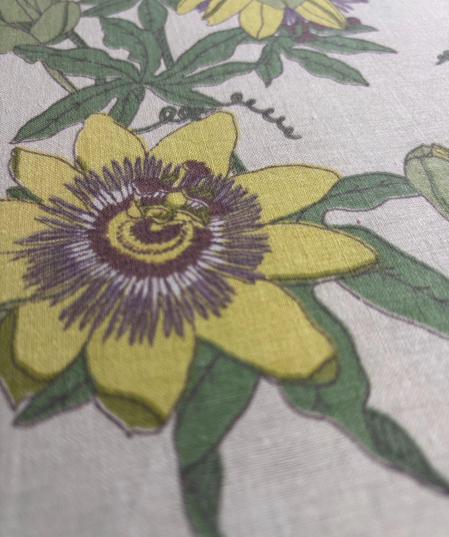 Baker Lifestyle - “Passiflora” by Parkertex